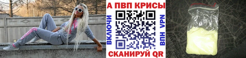 KRAKEN как зайти  Донской  Alpha PVP крисы CK 
