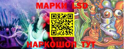 гашик Бийск