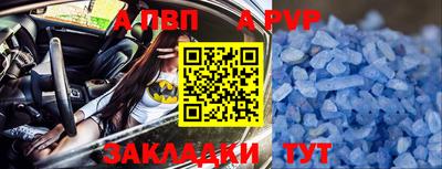 гашик Бийск