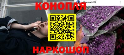 СК Беслан