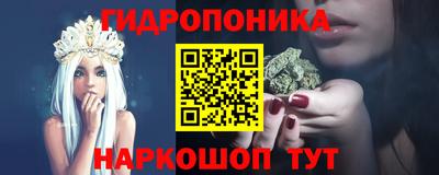 гашик Бийск