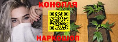 спиды Берёзовский