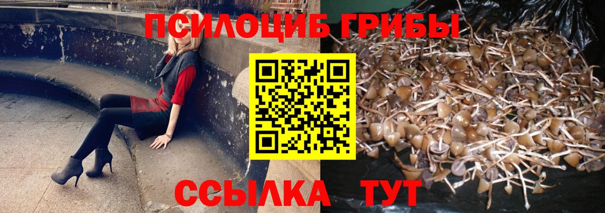 Псилоцибиновые грибы Magic Shrooms  Донской 