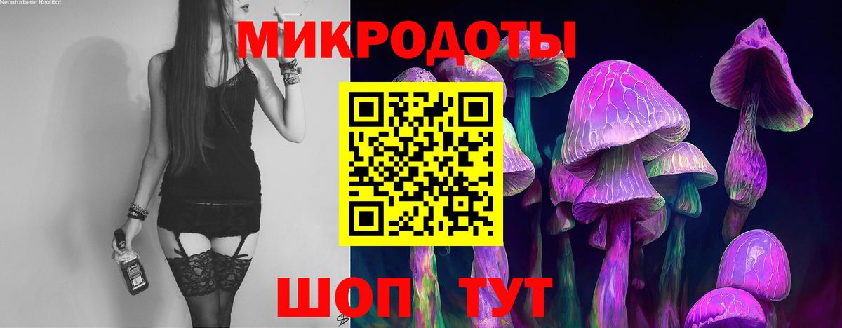 Донской  Псилоцибиновые грибы ЛСД  Галлюциногенные грибы Cubensis  Вход с VPN 